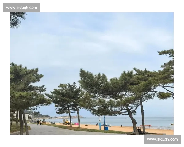 威海:我的第二故乡,一座被阳光洗净的精致之城 威海:我的第二故乡,一座被阳光洗净的精致之城